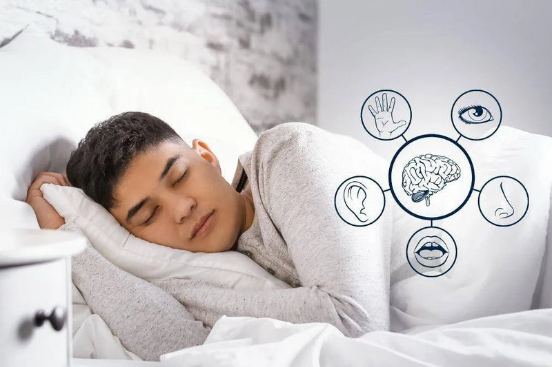 Designing for the Senses